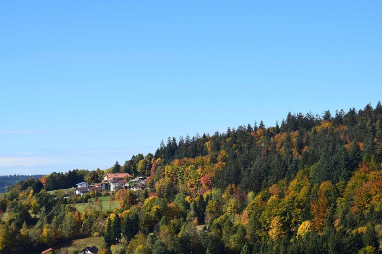 Ferienwohnungen Geiger Bodenmais Kültér fotó